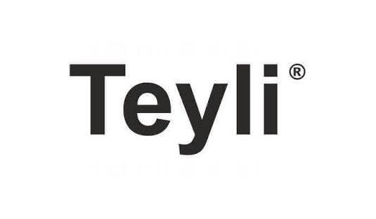 Teyli Logo